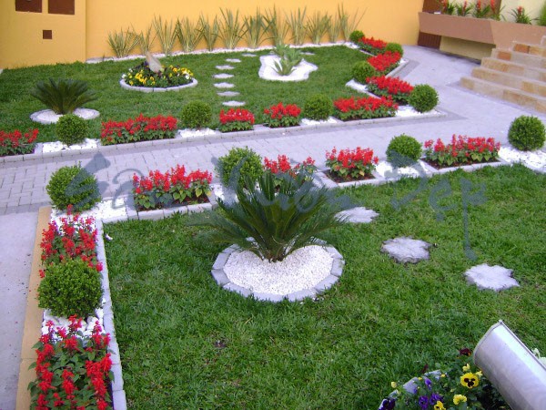 Thiết kế thi công sân vườn