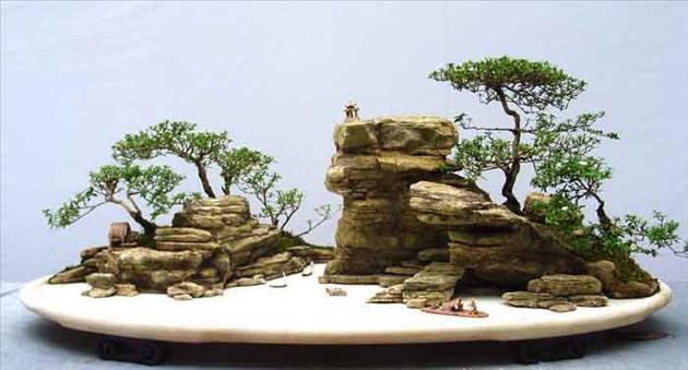 Bonsai tiểu cảnh đẹp