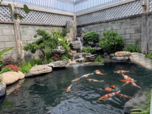 hồ cá koi mini