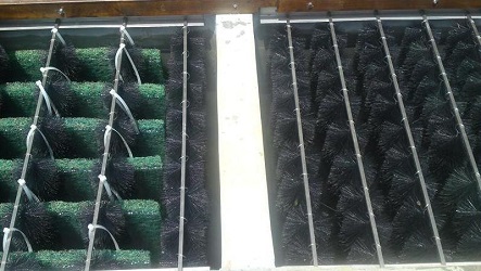 Cách làm lọc hồ cá koi - Hướng dẫn toàn diện cho một hệ sinh thái nước trong lành