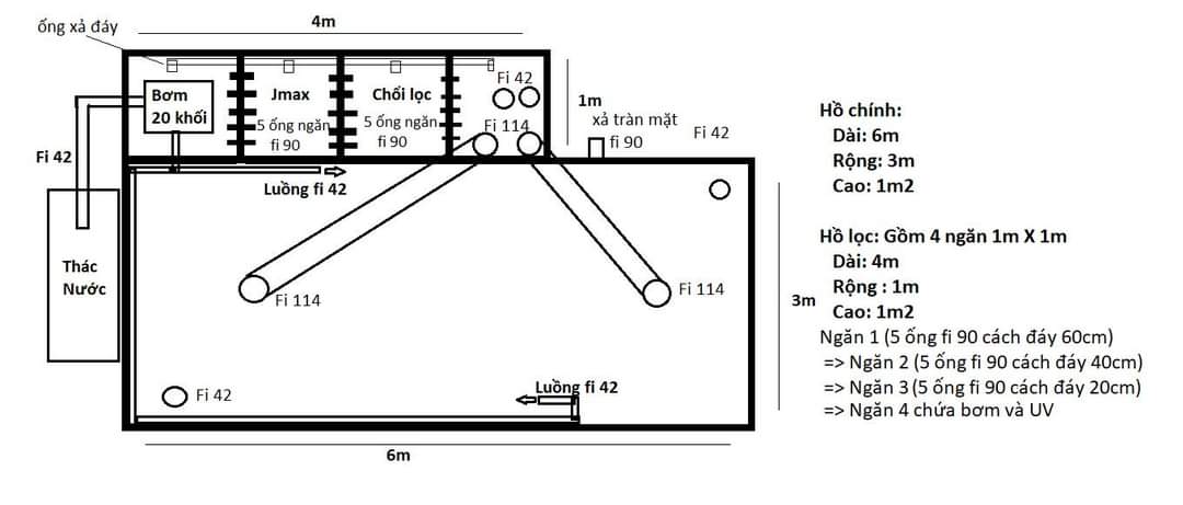 Cách làm lọc hồ cá koi - Hướng dẫn toàn diện cho một hệ sinh thái nước trong lành