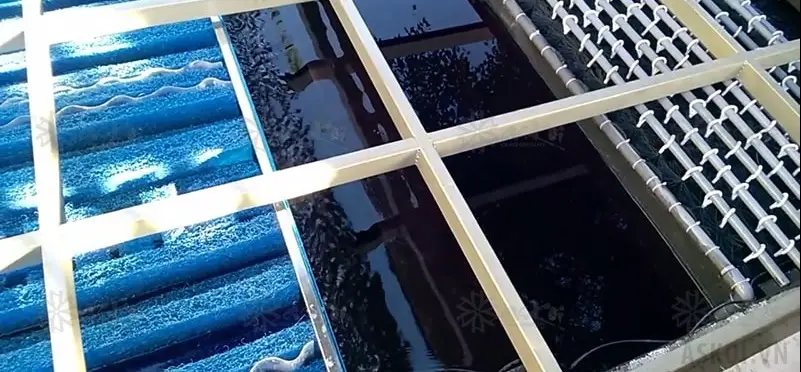 Cách làm lọc hồ cá koi - Hướng dẫn toàn diện cho một hệ sinh thái nước trong lành