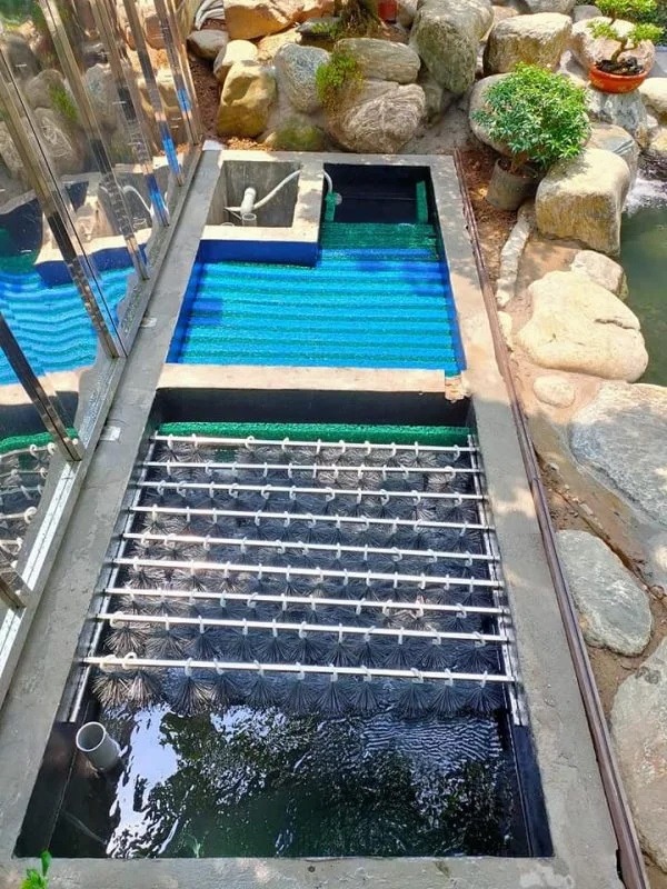 Cách làm lọc hồ cá koi - Hướng dẫn toàn diện cho một hệ sinh thái nước trong lành