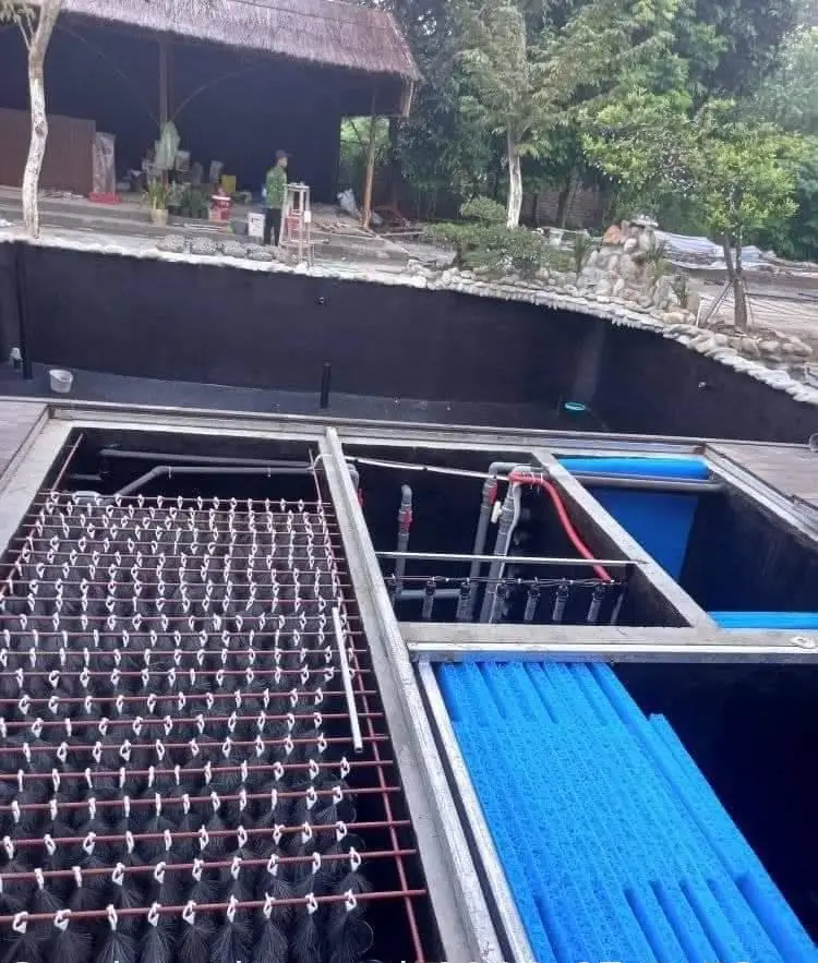 Cách làm lọc hồ cá koi - Hướng dẫn toàn diện cho một hệ sinh thái nước trong lành