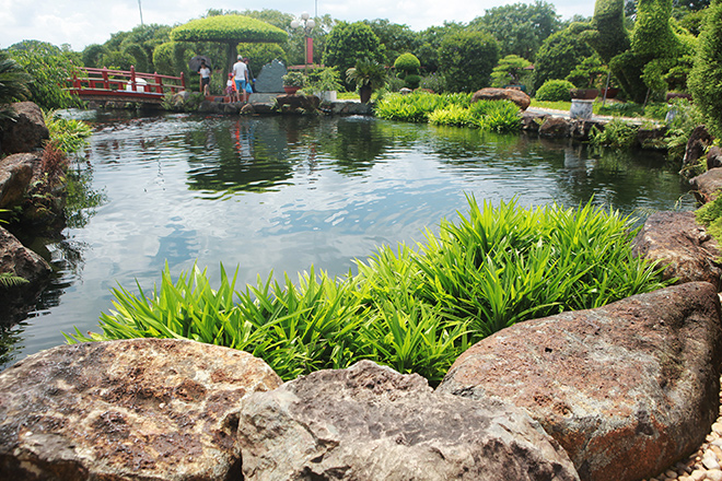 Hồ cá koi đẹp nhất thế giới - Cẩm nang thiết kế và chăm sóc tuyệt vời