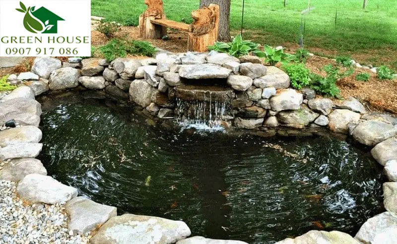 Hồ cá koi đẹp - Vẻ đẹp bình yên và nghệ thuật sống giữa thiên nhiên