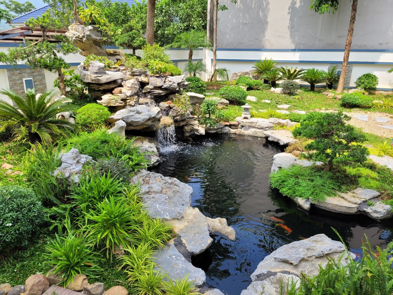 Hồ cá koi đẹp - Vẻ đẹp bình yên và nghệ thuật sống giữa thiên nhiên