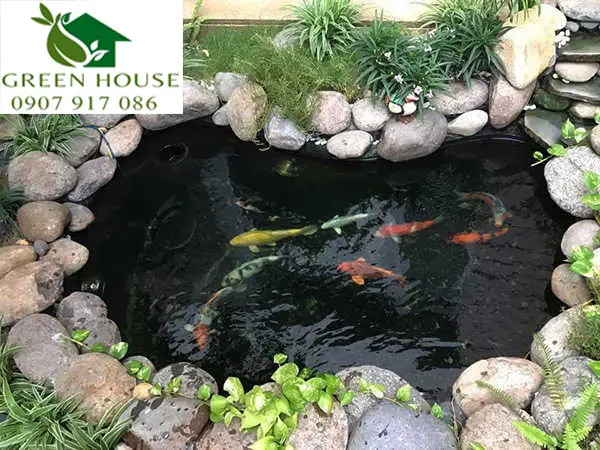 Hồ cá koi mini - Lựa chọn ý tưởng hồ nước nhỏ cho không gian đỉnh cao