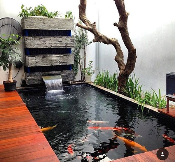 Hồ cá koi mini - Lựa chọn ý tưởng hồ nước nhỏ cho không gian đỉnh cao