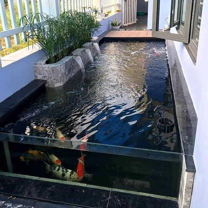 Hồ cá koi mini - Lựa chọn ý tưởng hồ nước nhỏ cho không gian đỉnh cao