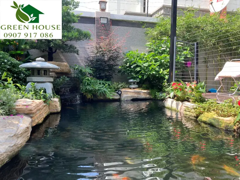 Hồ cá koi - Nghệ thuật sống hòa quyện cùng thiên nhiên trong không gian nhà bạn