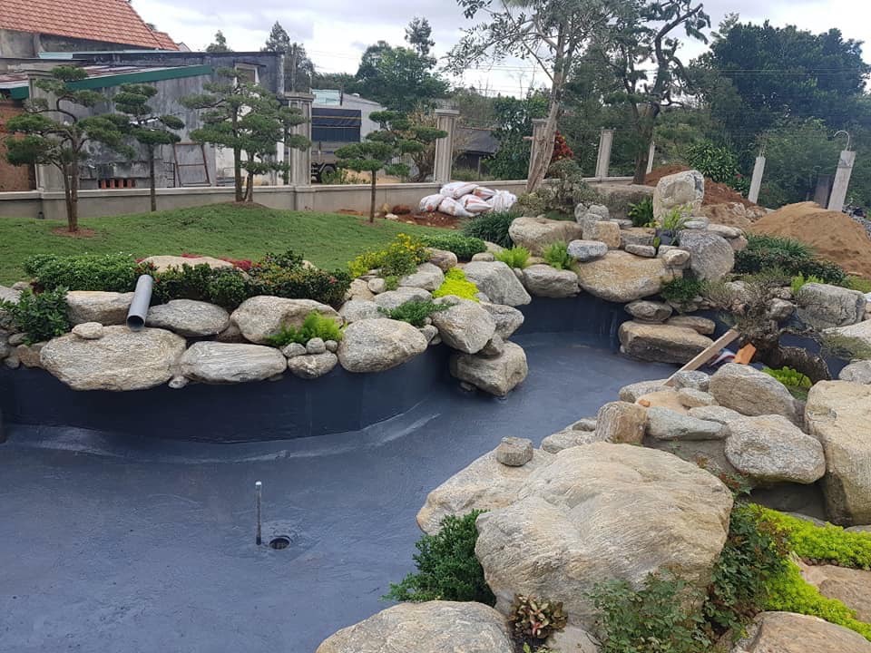 Hồ cá koi - Nghệ thuật sống hòa quyện cùng thiên nhiên trong không gian nhà bạn