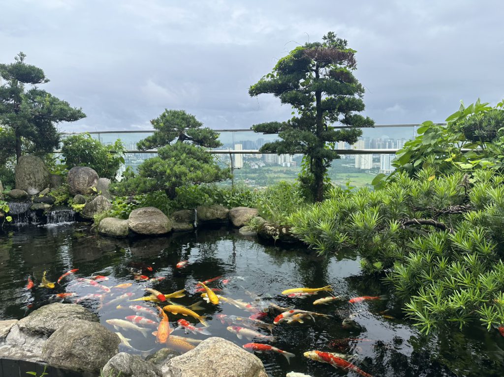 Hồ cá koi - Nghệ thuật sống hòa quyện cùng thiên nhiên trong không gian nhà bạn