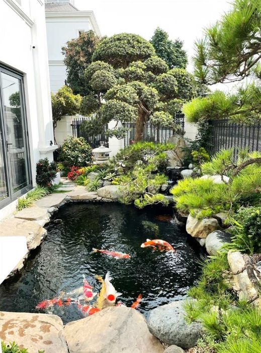 Thi công hồ cá koi – Chuyên môn chuyên sâu cho một thủy cảnh hoàn hảo