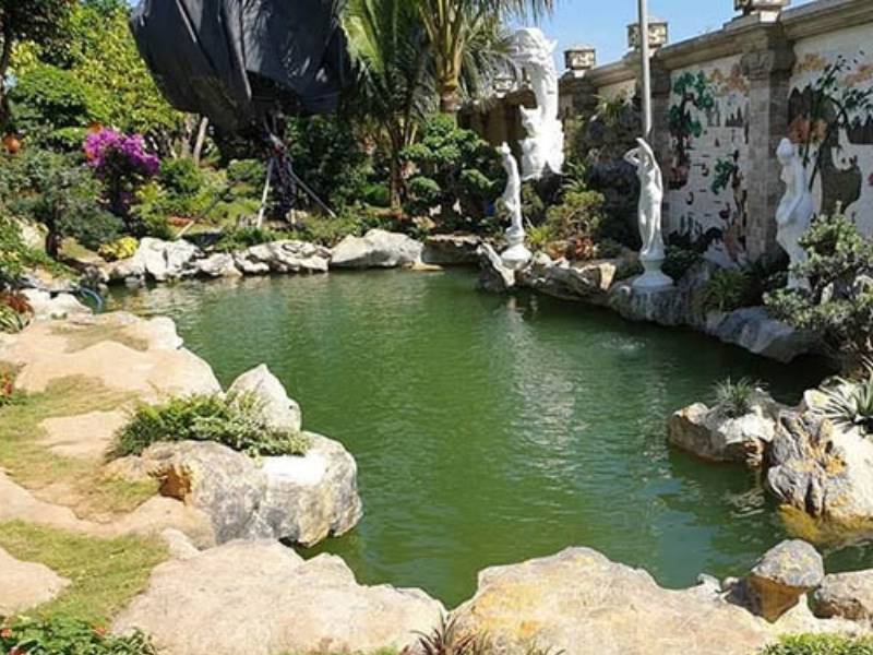 Thi công hồ cá koi – Chuyên môn chuyên sâu cho một thủy cảnh hoàn hảo