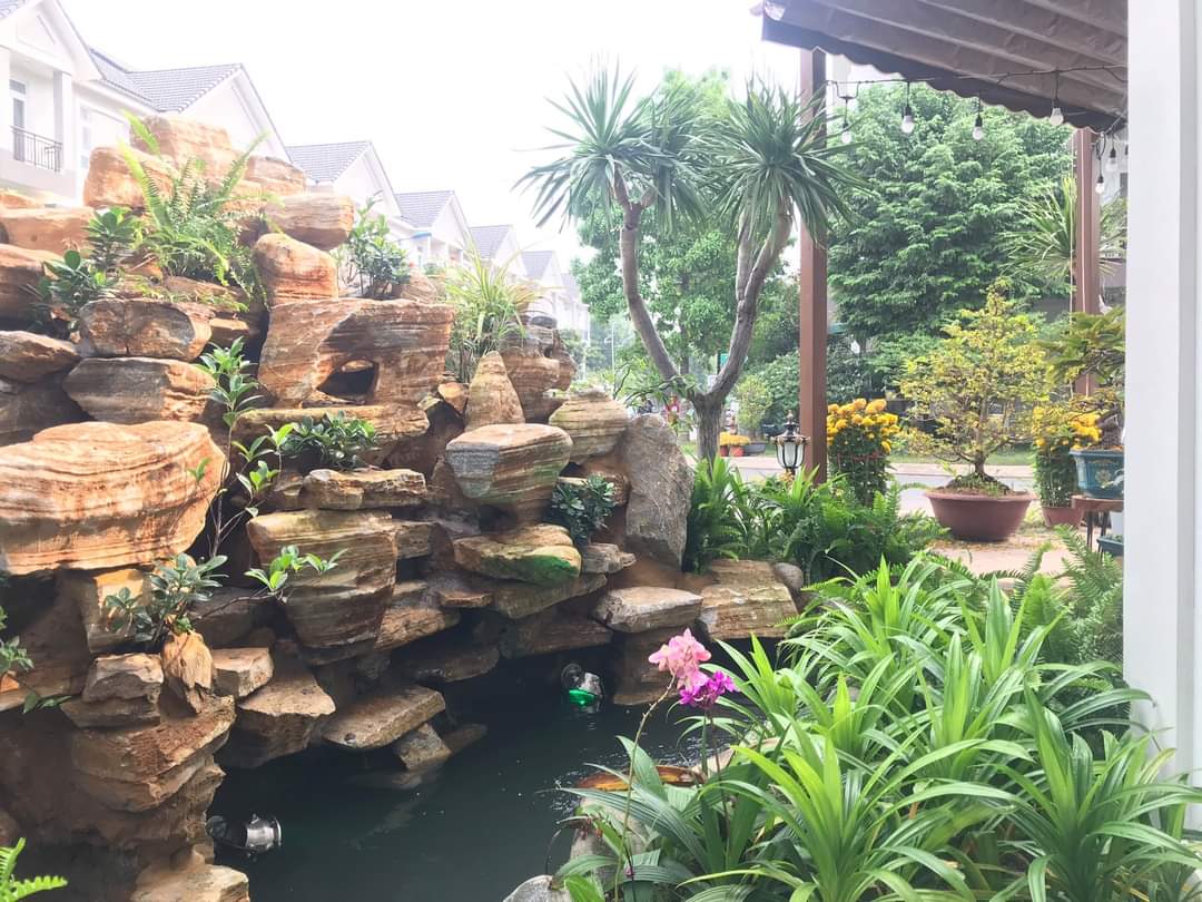 Thiết kế hồ cá koi - Lối đi riêng cho không gian sống đẳng cấp