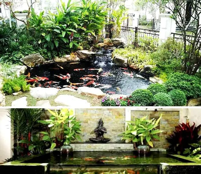 Thiết kế hồ cá koi - Lối đi riêng cho không gian sống đẳng cấp