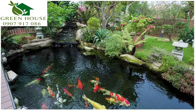 Thiết kế hồ cá koi - Lối đi riêng cho không gian sống đẳng cấp
