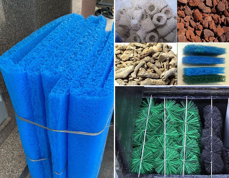 Thùng lọc hồ cá koi - Giải pháp tối ưu cho bể nước koi trong sân vườn