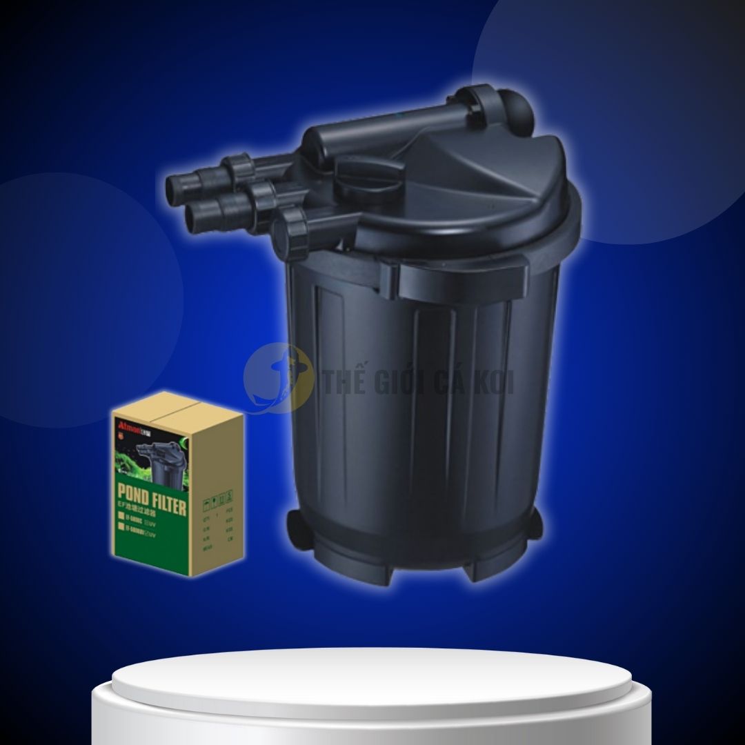 Thùng lọc hồ cá koi - Giải pháp tối ưu cho bể nước koi trong sân vườn
