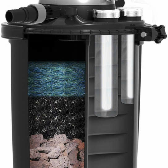 Thùng lọc hồ cá koi - Giải pháp tối ưu cho bể nước koi trong sân vườn