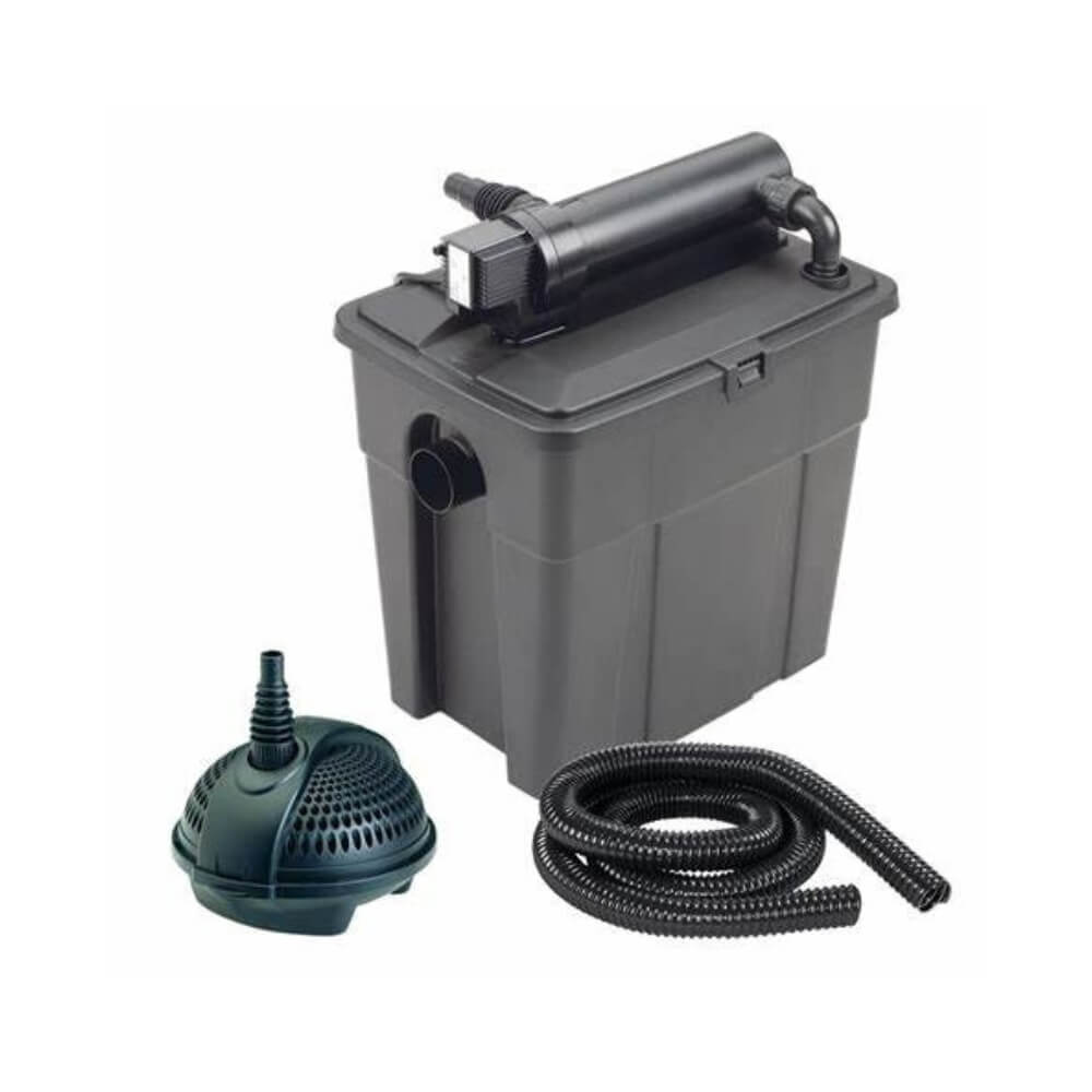 Thùng lọc hồ cá koi - Giải pháp tối ưu cho bể nước koi trong sân vườn