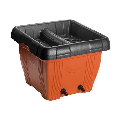 Thùng lọc hồ cá koi - Giải pháp tối ưu cho bể nước koi trong sân vườn