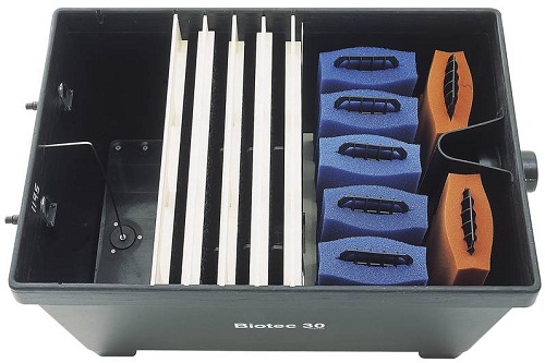 Thùng lọc hồ cá koi - Giải pháp tối ưu cho bể nước koi trong sân vườn