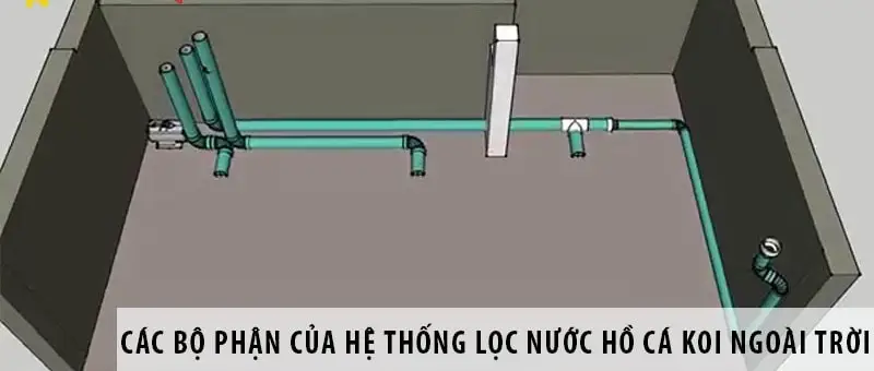 Lọc hồ cá koi – Bí quyết giữ gìn vẻ đẹp tự nhiên của hồ cá koi nhà bạn