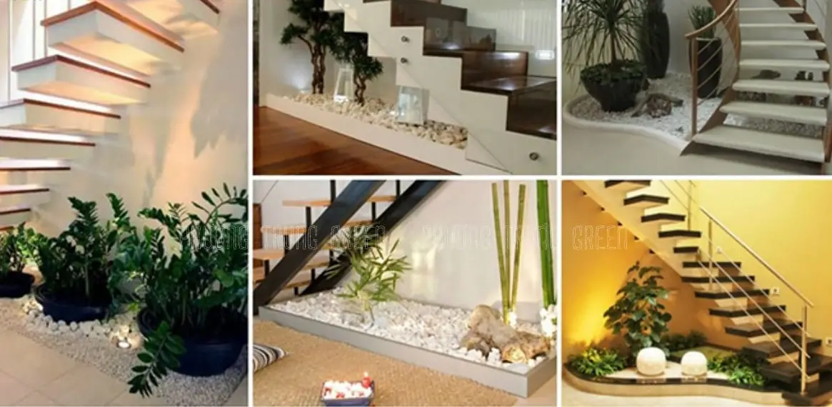 Tận Hưởng Không Gian Sống Độc Đáo Với Tiểu Cảnh Gầm Cầu Thang - Cách Thực Hiện Và Những Lời Khuyên Hữu Ích