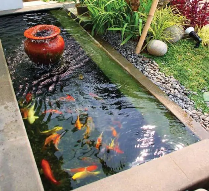 Thiết kế hồ cá chép koi – Bí quyết tạo không gian thư thái độc đáo cho sân vườn